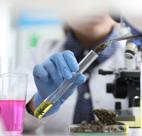 astm canabis certification